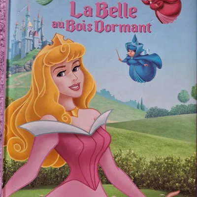 Livre la belle au bois dormant 